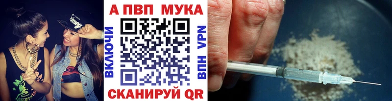 Альфа ПВП СК  Северодвинск 