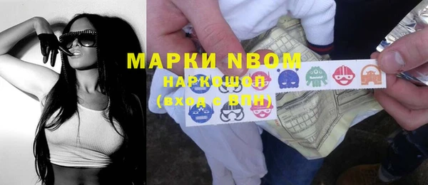 амф Гусев