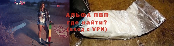 PSILOCYBIN Абаза