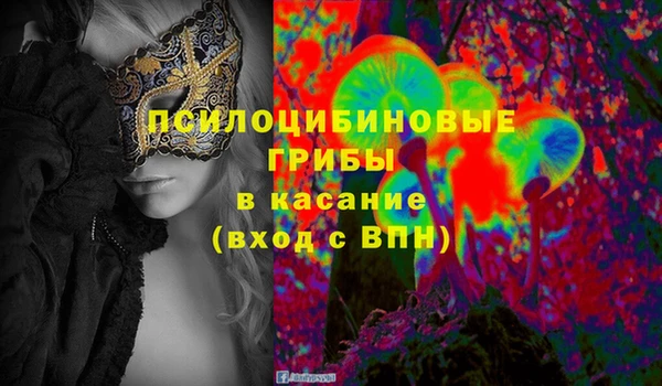 сатива Абдулино
