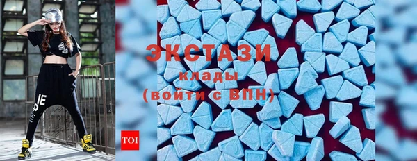 амф Гусев
