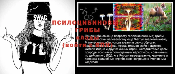молекула духа Алексин