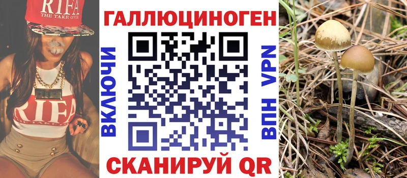 Галлюциногенные грибы MAGIC MUSHROOMS  Северодвинск 