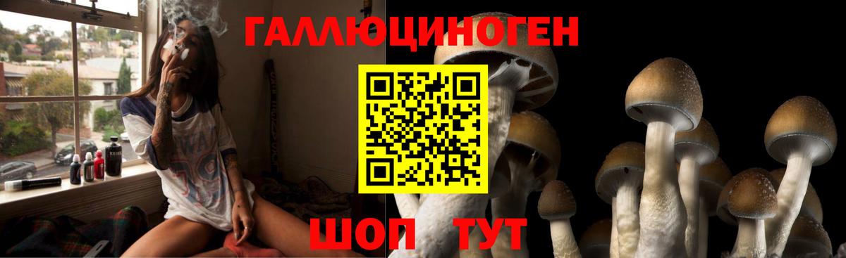 Псилоцибиновые грибы Magic Shrooms Северодвинск
