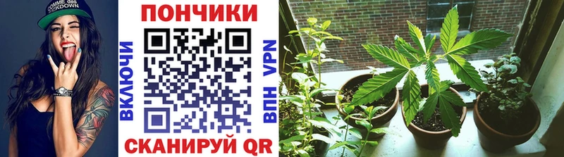 где продают   Северодвинск  кракен как зайти  Шишки марихуана AK-47 